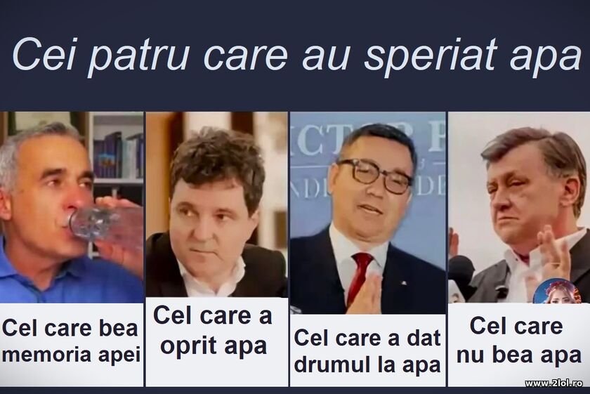 Cei patru care au speriat apa | poze haioase