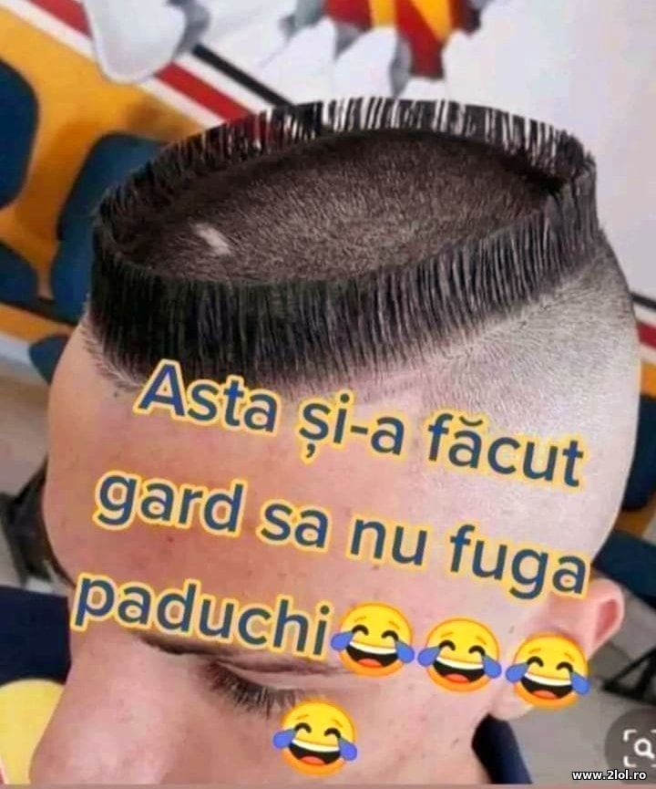 Si-a facut gard sa nu fuga paduchi | poze haioase