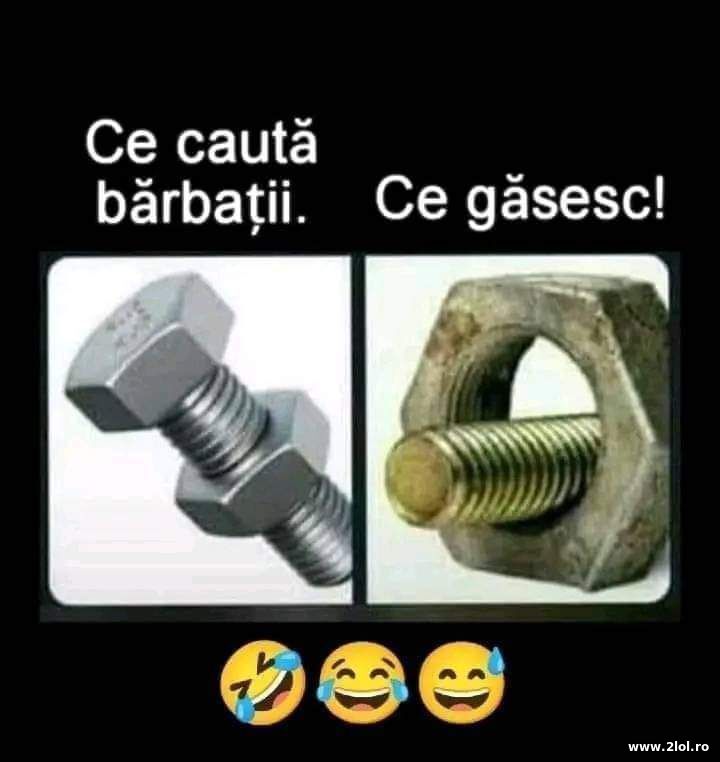 Ce cauta barbatii | poze haioase