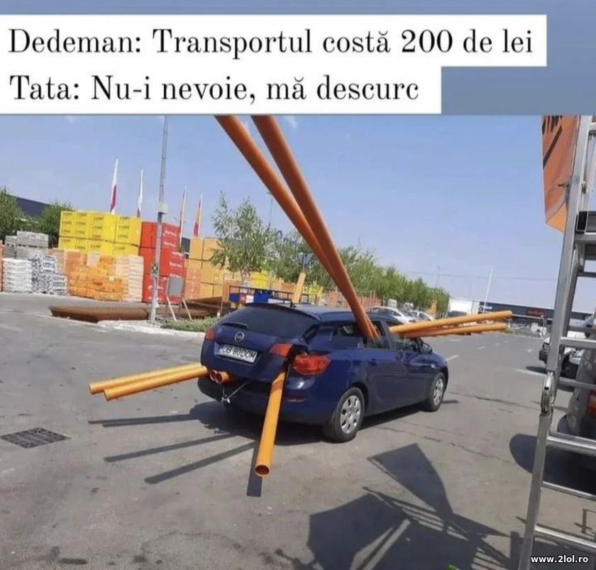 Dedeman: Transportul costa 200 de lei | poze haioase