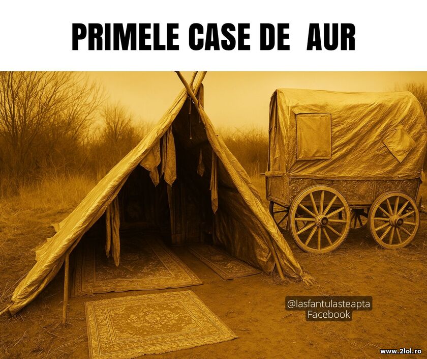 Primele case de aur | poze haioase