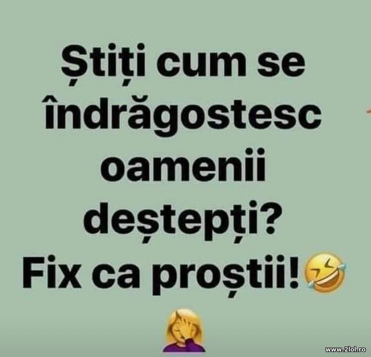 Stiti cum se indragostesc oamenii destepti? | poze haioase