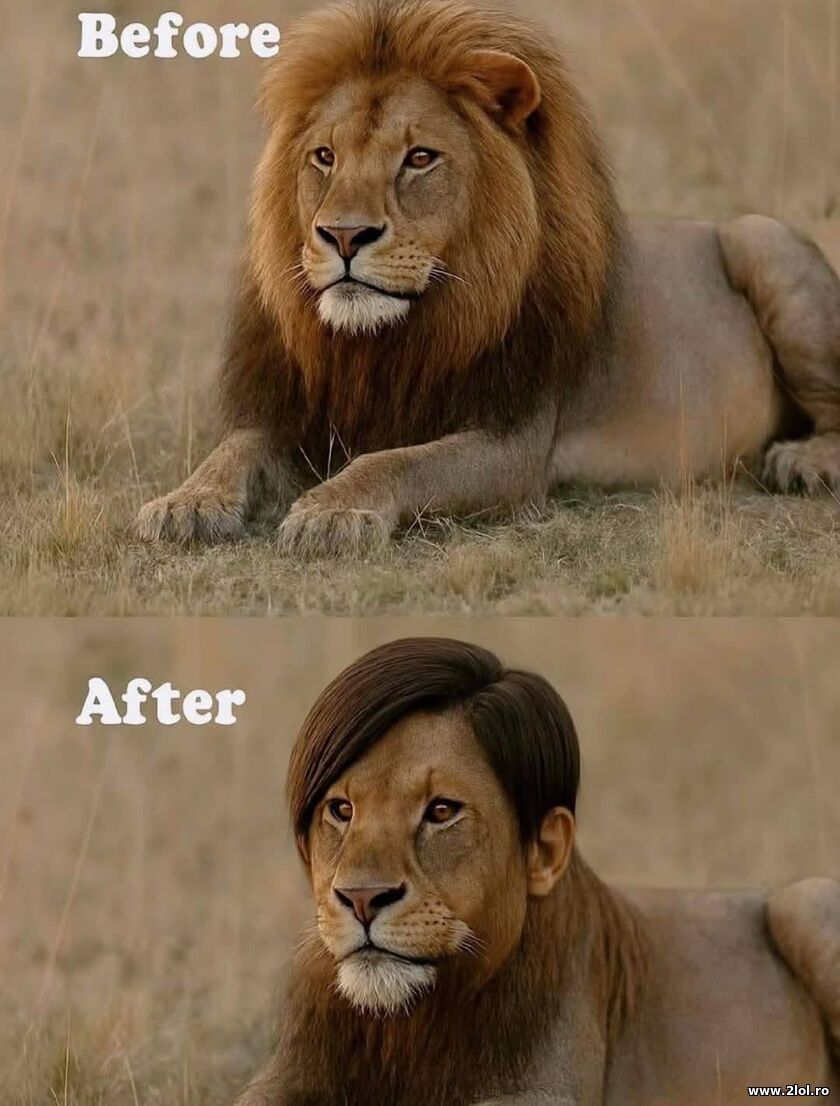 Before and after | poze haioase