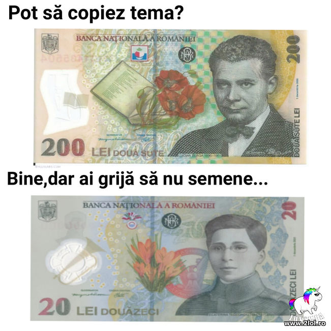 Pot sa copiez tema | poze haioase