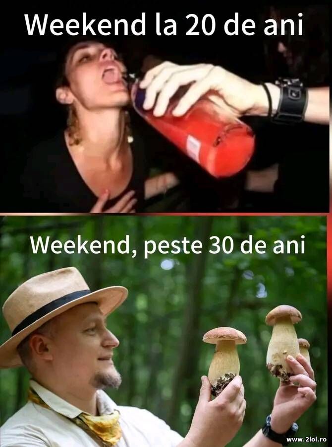 Weekend | poze haioase