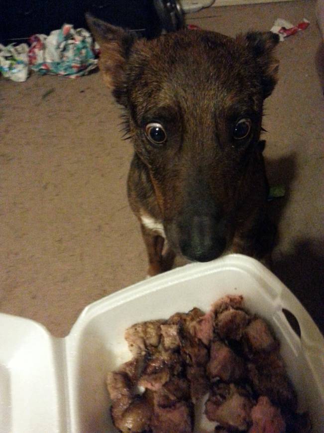 Nu i-a venit sa creadă ce a primit | poze haioase