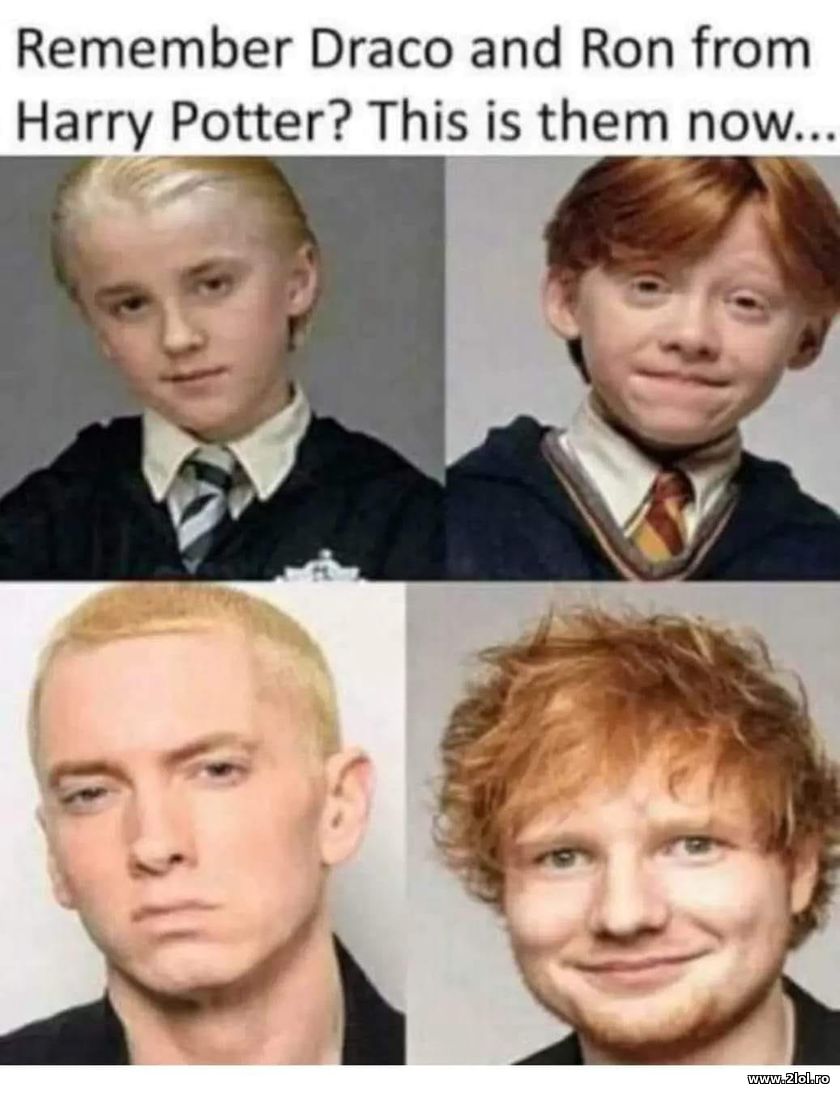 Draco and Ron from Harry Potter. This is them now | poze haioase