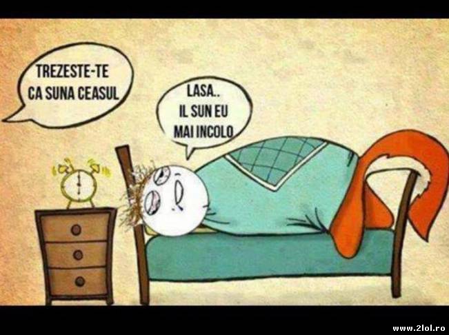 Când mă trezesc dimineața | poze haioase