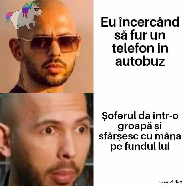 Incercand sa fur un telefon in autobuz | poze haioase