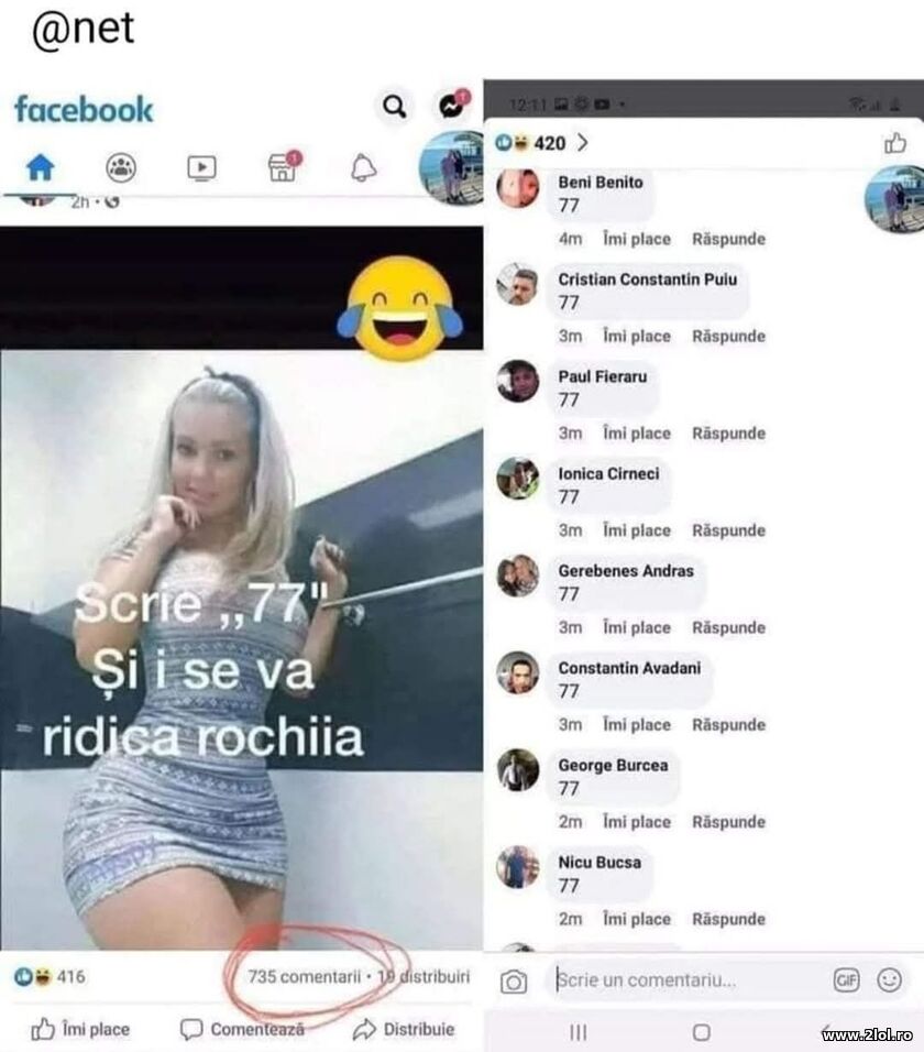 Scrie 77 | poze haioase