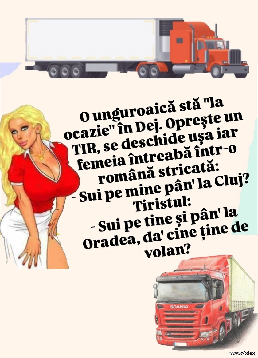 O unguroaica sta la ocazie | poze haioase