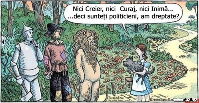 Fără minte, nici curaj, nici inimă ...deci sunteți | poze haioase