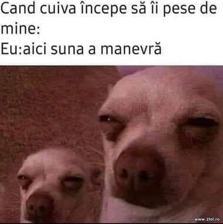 Cand cuiva incepe sa ii pese de mine | poze haioase