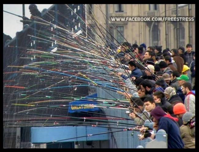 Are balta peste | poze haioase