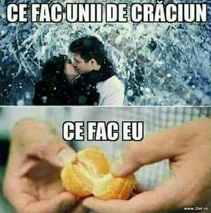 Ce fac unii de Craciun. Ce fac eu | poze haioase