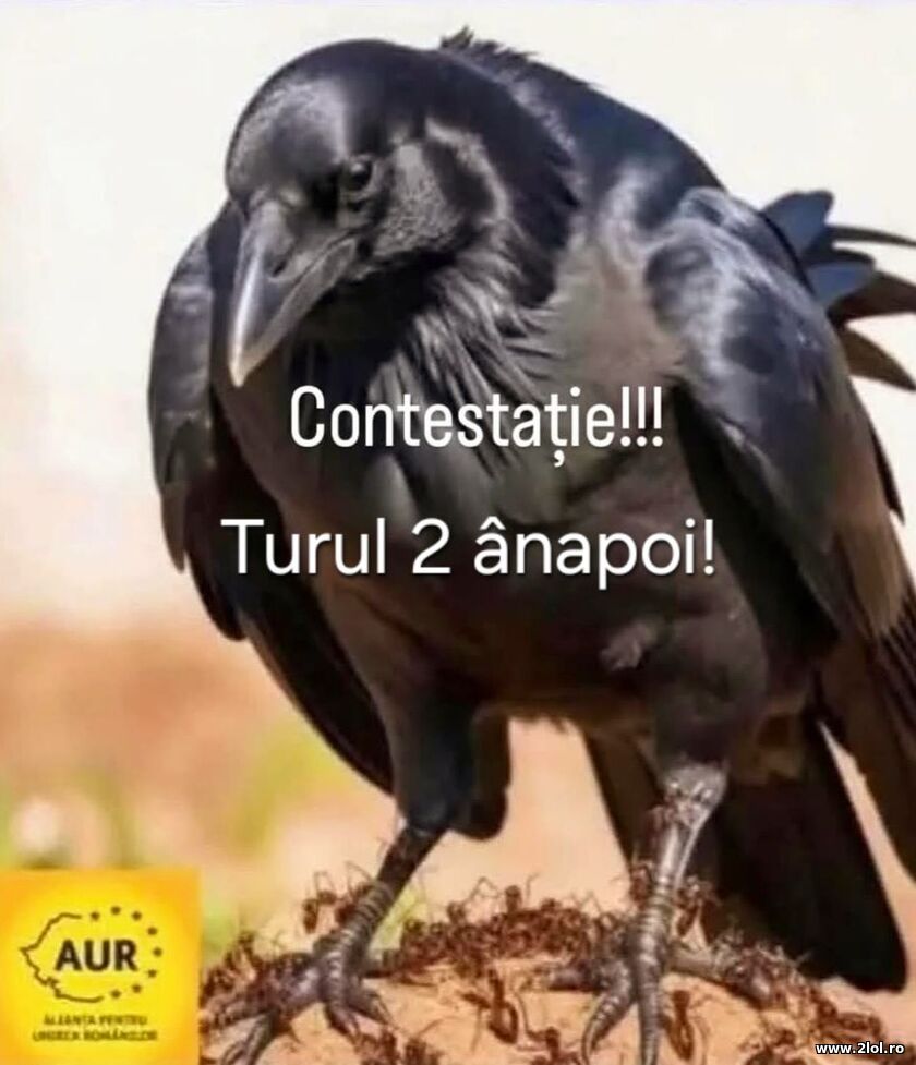 Turul 2 | poze haioase