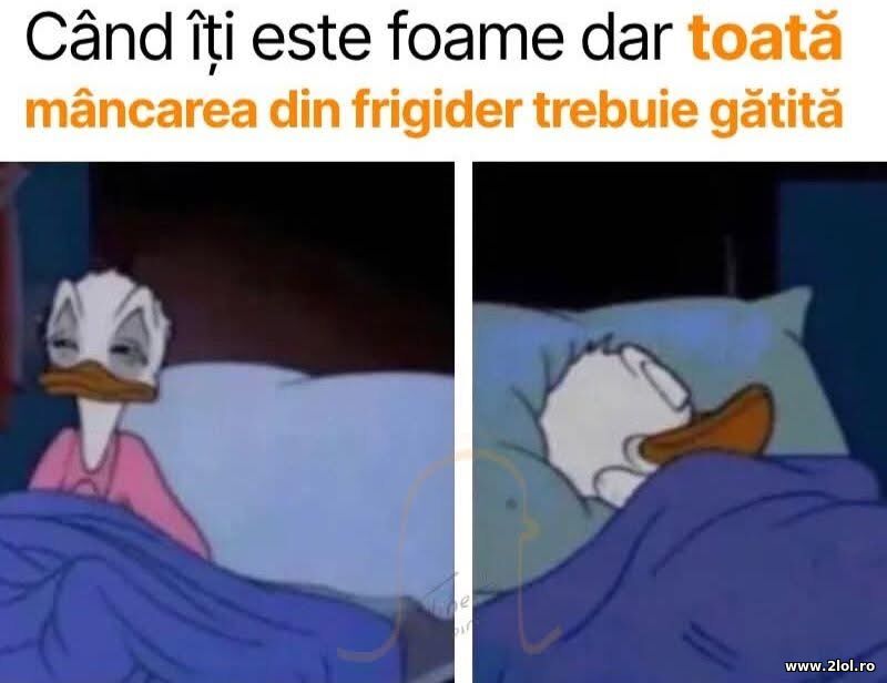 Cand iti este foame | poze haioase