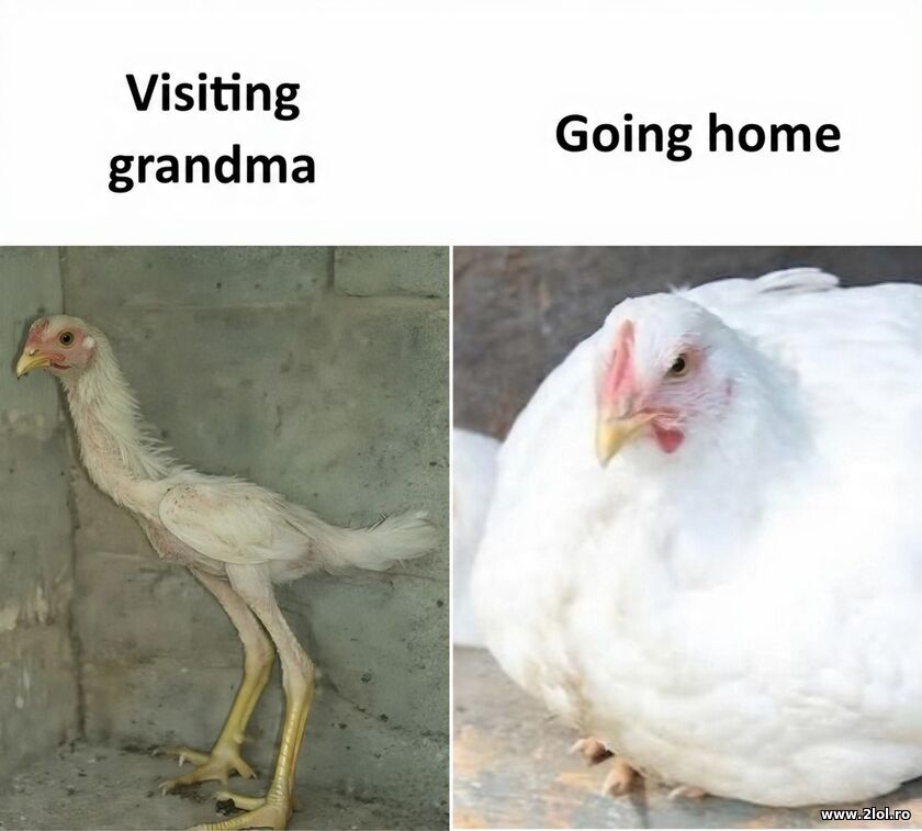 Visiting Grandma | poze haioase