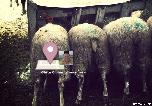 Unde a dat check in Ghiţă Ciobanul | poze haioase
