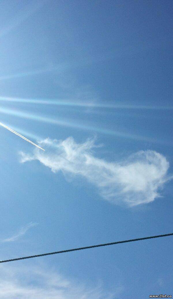 Ceva acolo s-a terminat! | poze haioase