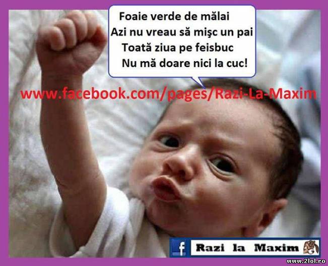 Toată ziua pe feisbuc, nu mă doare nici în cuc | poze haioase