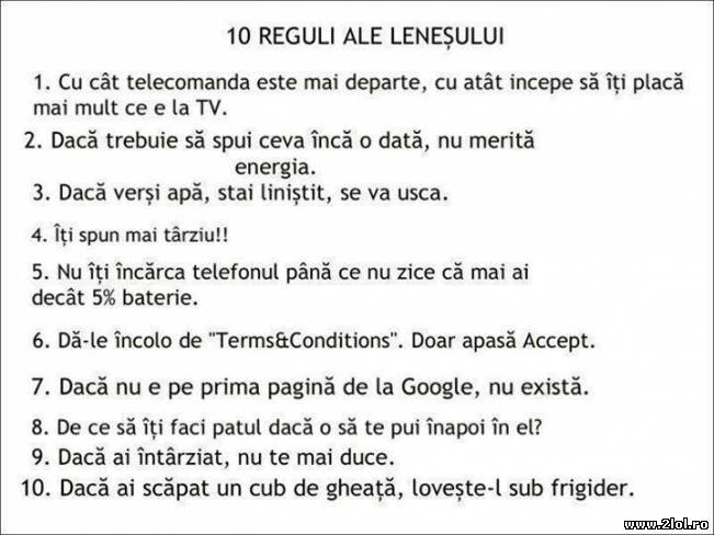 10 Reguli ale leneșului | poze haioase