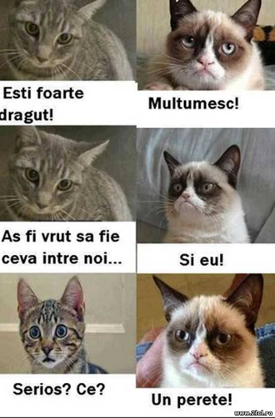 Aș fi vrut să fie ceva între noi | poze haioase