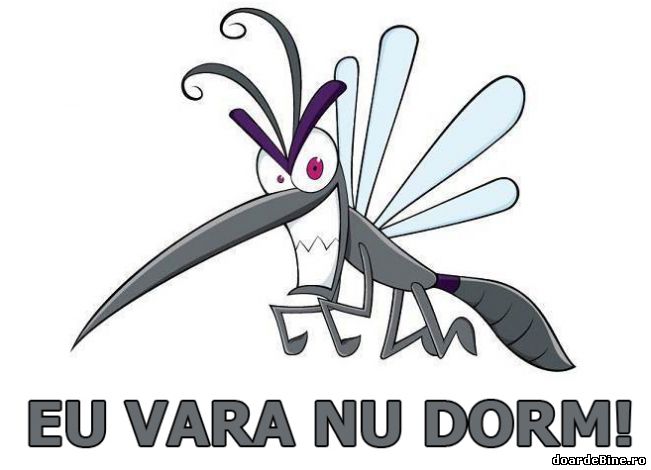 Nici tânțarii nu dorm vara | poze haioase