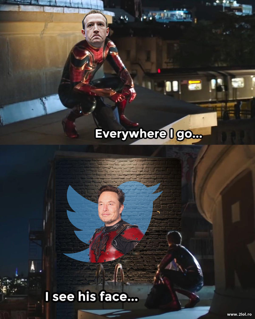 Everywhere I go. I see his face. Zuck - Elon Musk | poze haioase