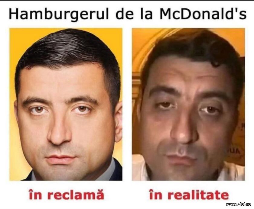 Hamburgerul | poze haioase