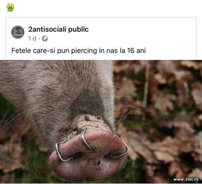 Cu cine seamana fetele care-si pun piercing in nas | poze haioase