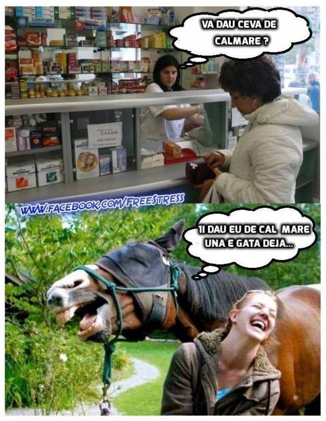 De Calmare | poze haioase