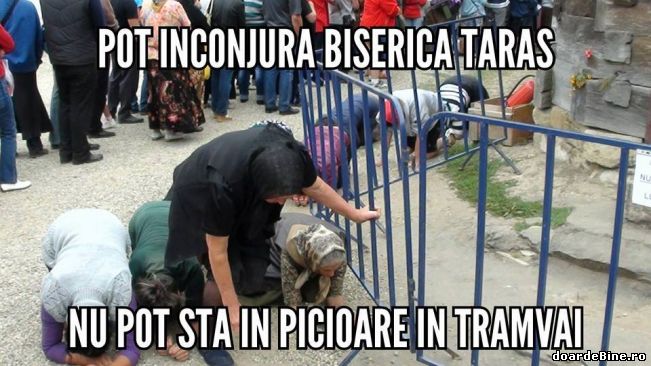 Culmea bătrânelor | poze haioase