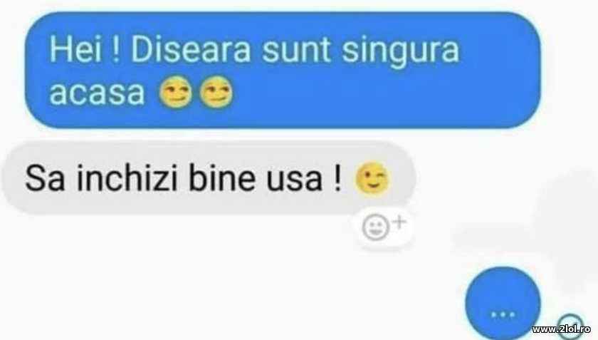 Diseara sunt singura | poze haioase