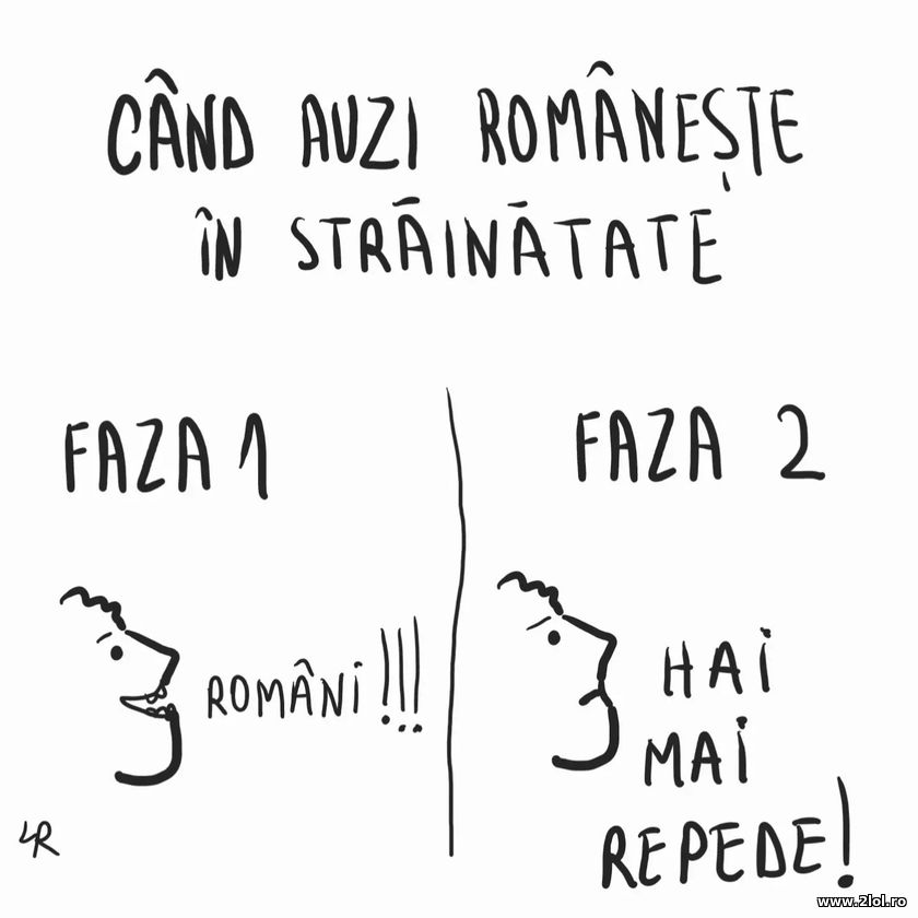 Cand auzi romaneste in strainatate | poze haioase