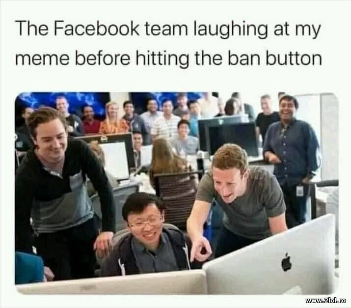 The Facebook team laughing | poze haioase