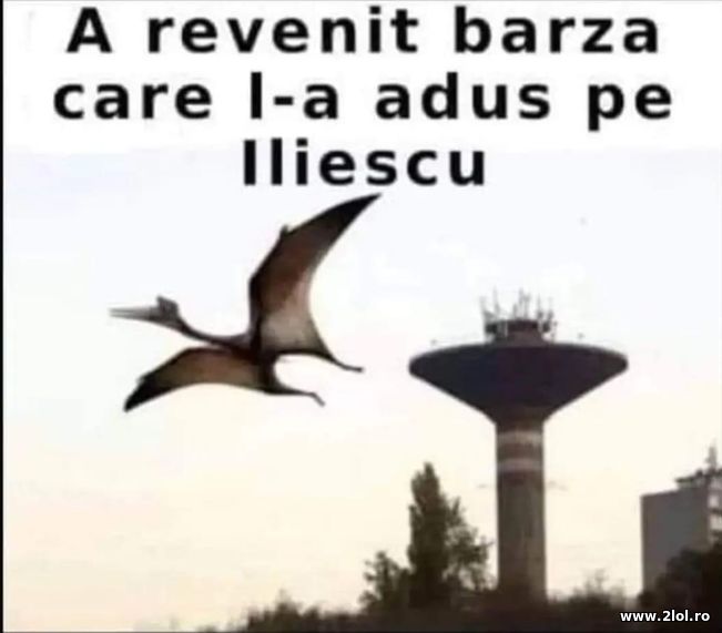 Barza care l-a adus pe Iliescu | poze haioase
