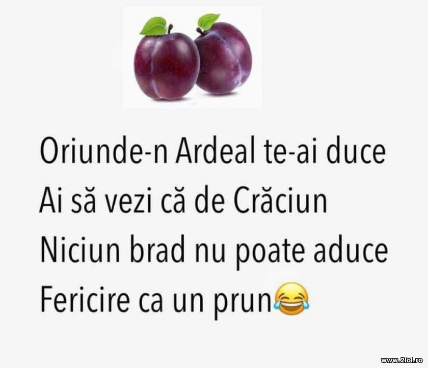 Oriunde-n Ardeal te-ai duce ai sa vezi de Craciun | poze haioase