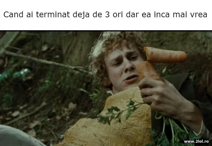Cand ai terminat de 3 ori | poze haioase
