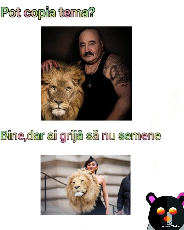 Pot copia tema? Bine,dar ai grija sa nu semene | poze haioase
