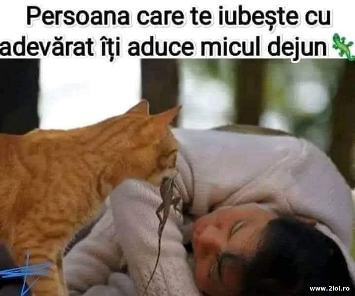 Persoana care te iubeste | poze haioase