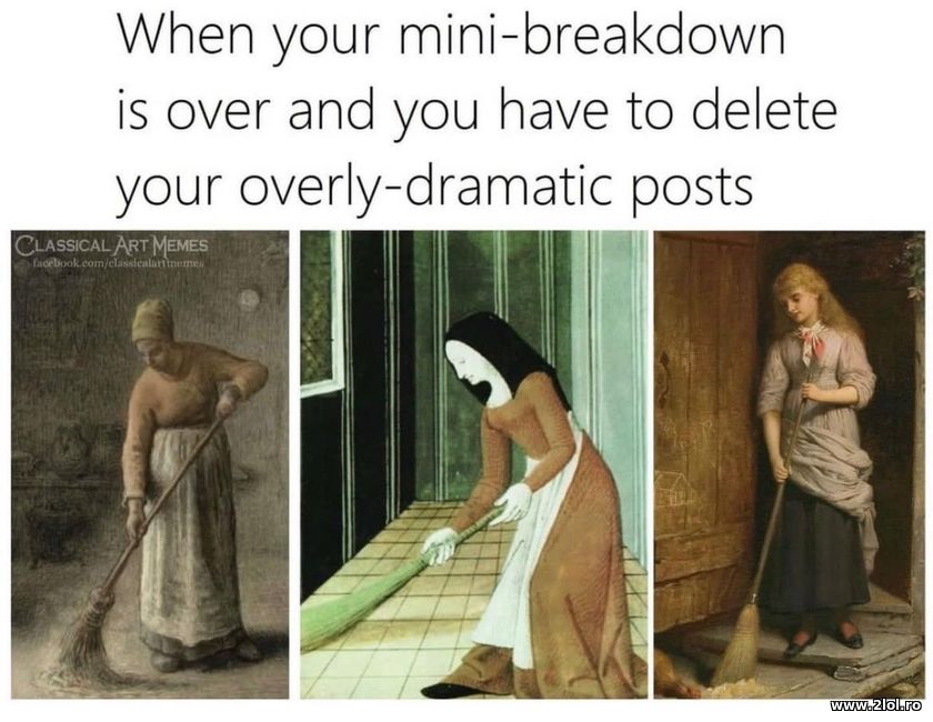 When your mini-breakdown is over and you have to | poze haioase