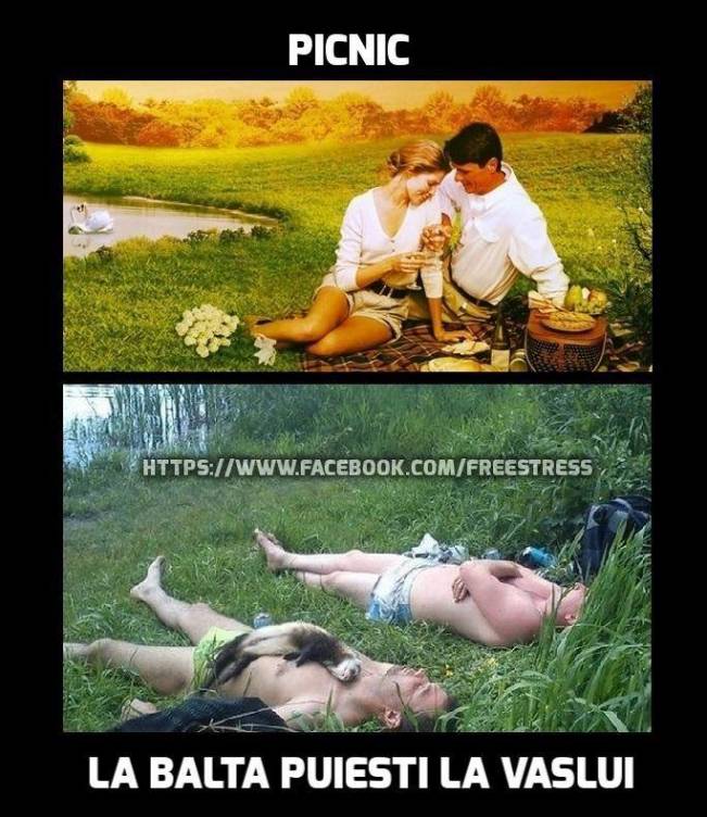 Picnic | poze haioase