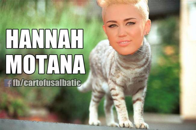 Hannah Motana | poze haioase