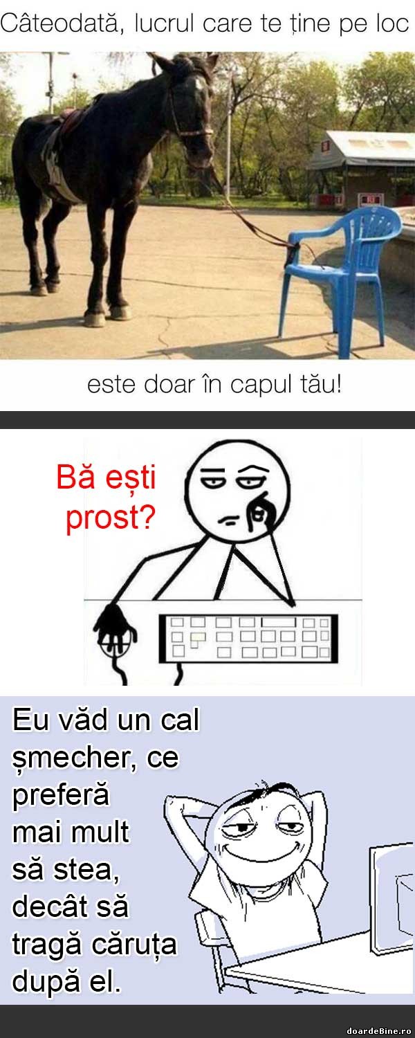 Îmi place cum văd eu lucrurile | poze haioase