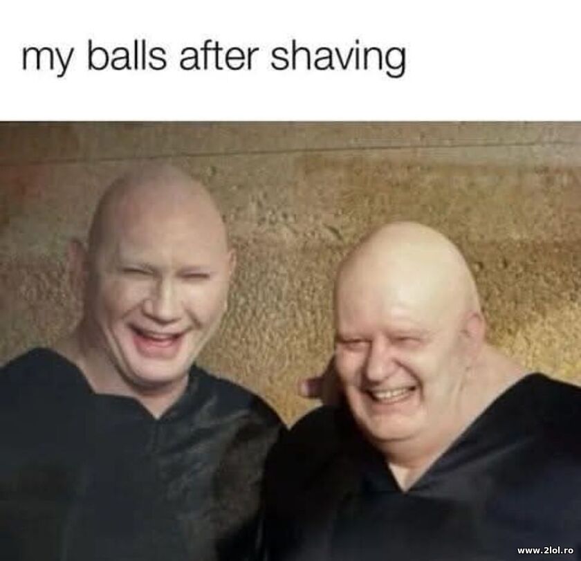 My balls after shaving | poze haioase