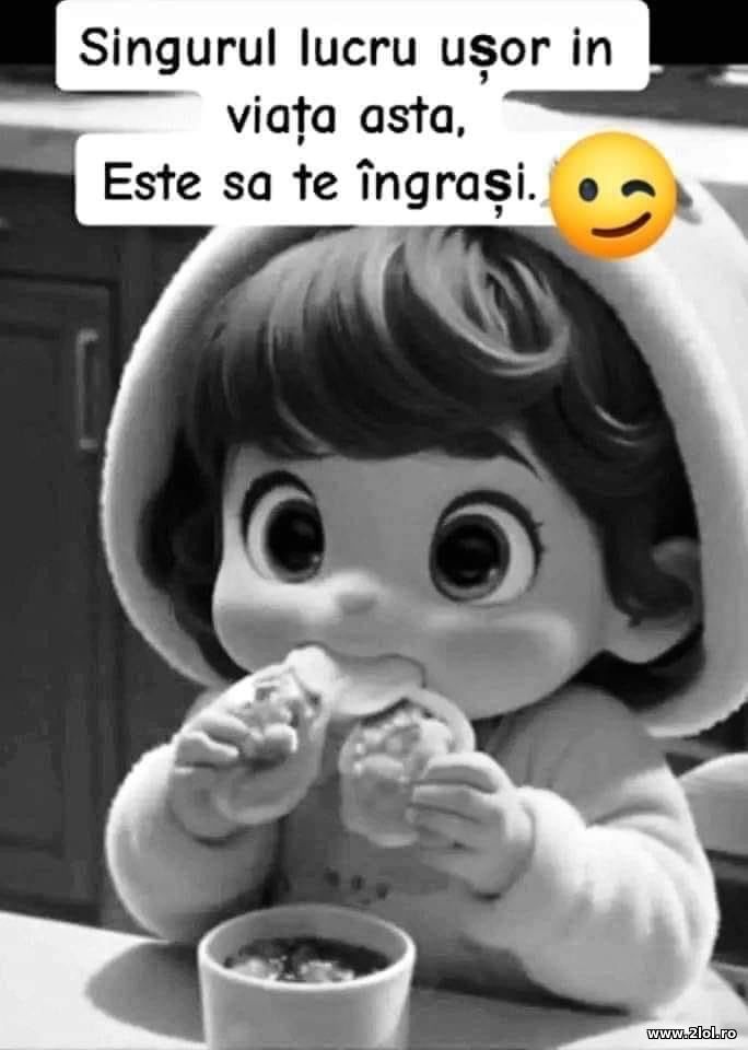 Singurul lucru usor in viata asta este sa te | poze haioase