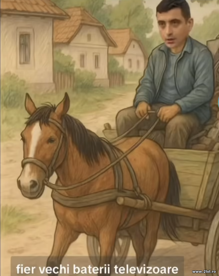 Fier vechi, baterii, televizoare | poze haioase