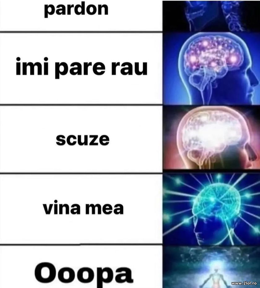Cum sa-ti ceri scuze | poze haioase