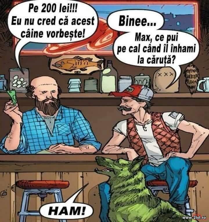 Nu cred ca acest caine vorbeste | poze haioase